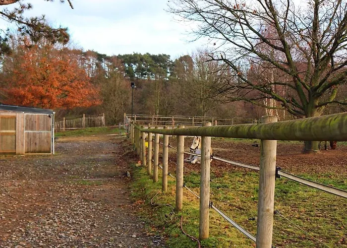 Vakantiehuis Le Chen Zen